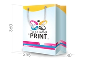 заказать печать Бумажный пакет тираж 400 штук горизонтальный, А4 формата , размер 255х360х80 мм, бумага 200 г/м² + с ламинацией, установка люверсов и ручки-шнурка
